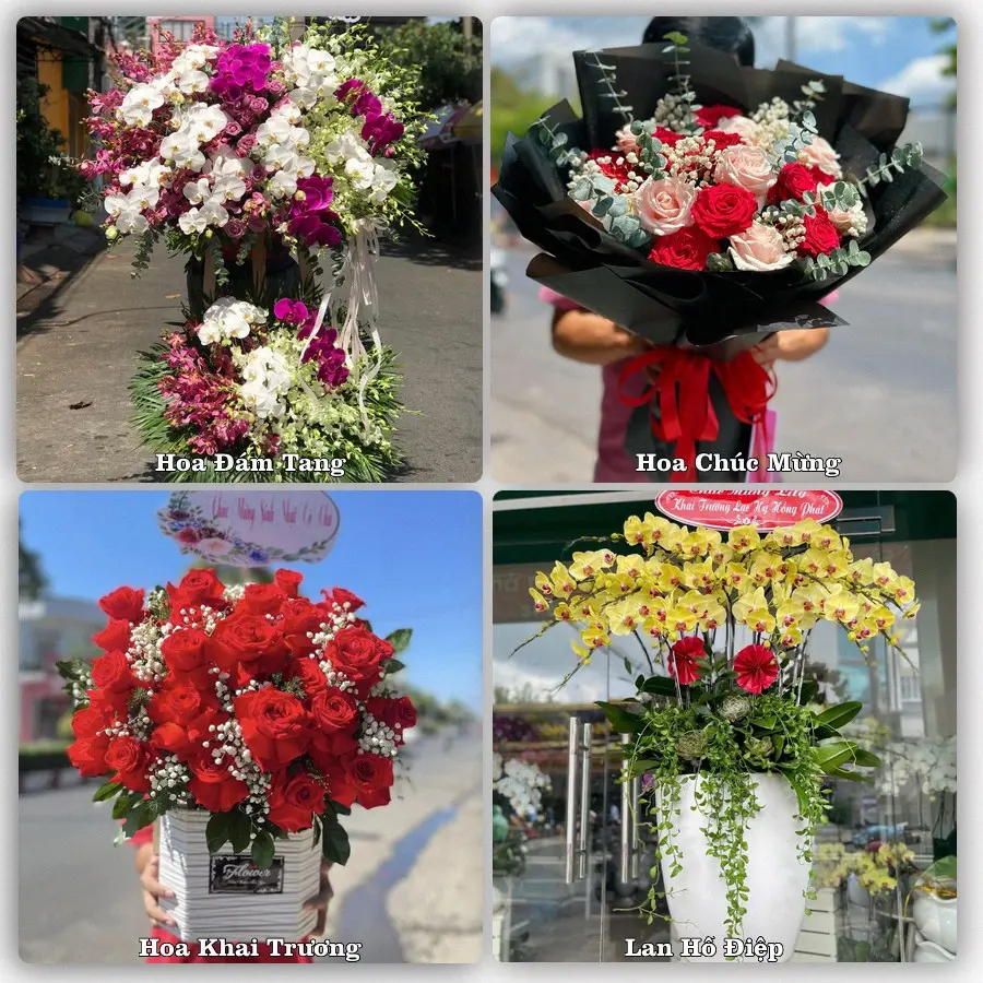 Tư vấn chọn hoa theo người nhận và dịp tặng tại Xã Phú Lâm - Tỉnh Đồng Nai