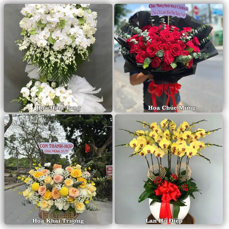 Tư vấn chọn hoa theo người nhận và dịp tặng tại Phường Trương Quang Trọng - Tỉnh Quảng Ngãi