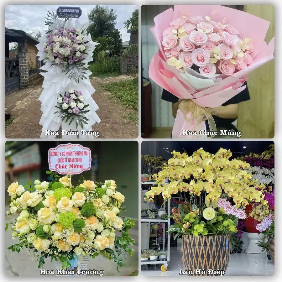 Đặt hoa tươi tại Phường Việt Hưng, Quảng Ninh – chọn mẫu theo ngân sách