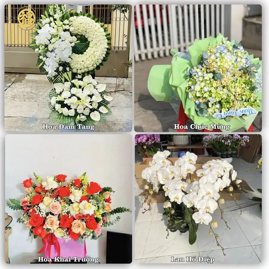 Tư vấn chọn hoa theo người nhận và dịp tặng tại Phường Việt Hưng - Tỉnh Quảng Ninh