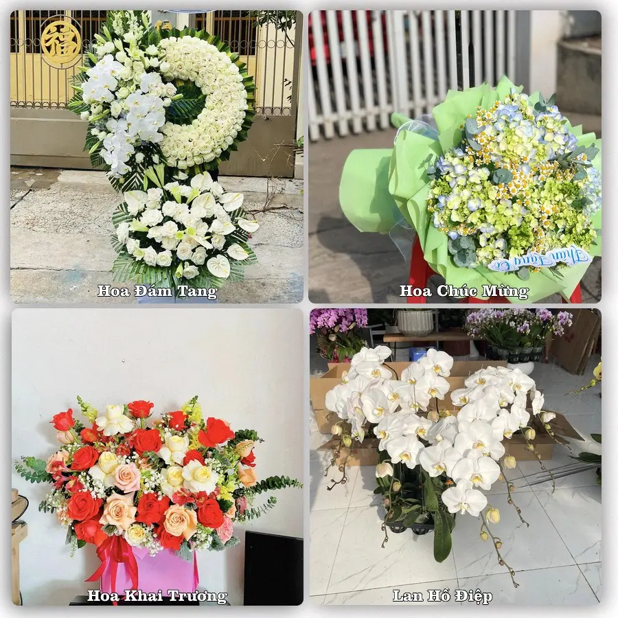 Tư vấn chọn hoa theo người nhận và dịp tặng tại Phường Việt Hưng - Tỉnh Quảng Ninh