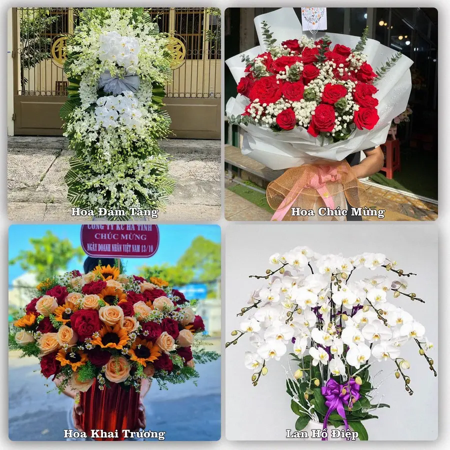 Mẫu hoa phục vụ nhu cầu đặt hoa tại Xã Vĩnh Bình - Tỉnh Đồng Tháp