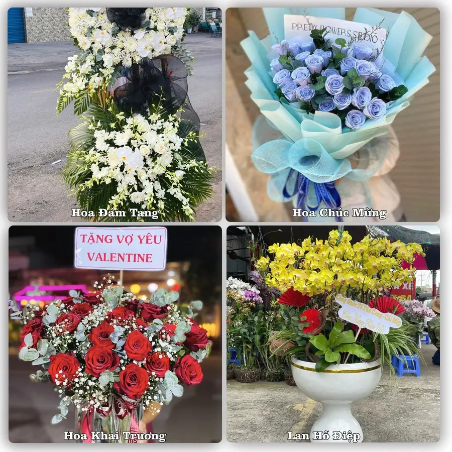 Tư vấn chọn hoa theo người nhận và dịp tặng tại Xã Vĩnh Bình - Tỉnh Đồng Tháp