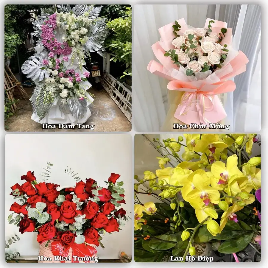 Tiệm hoa tươi Xã An Phú, An Giang – hoa sinh nhật và khai trương