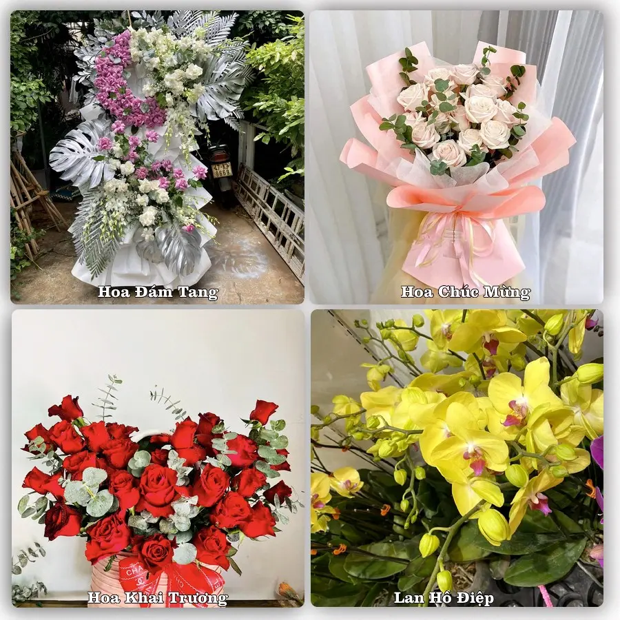 Mẫu hoa phục vụ nhu cầu đặt hoa tại Xã An Phú - Tỉnh An Giang