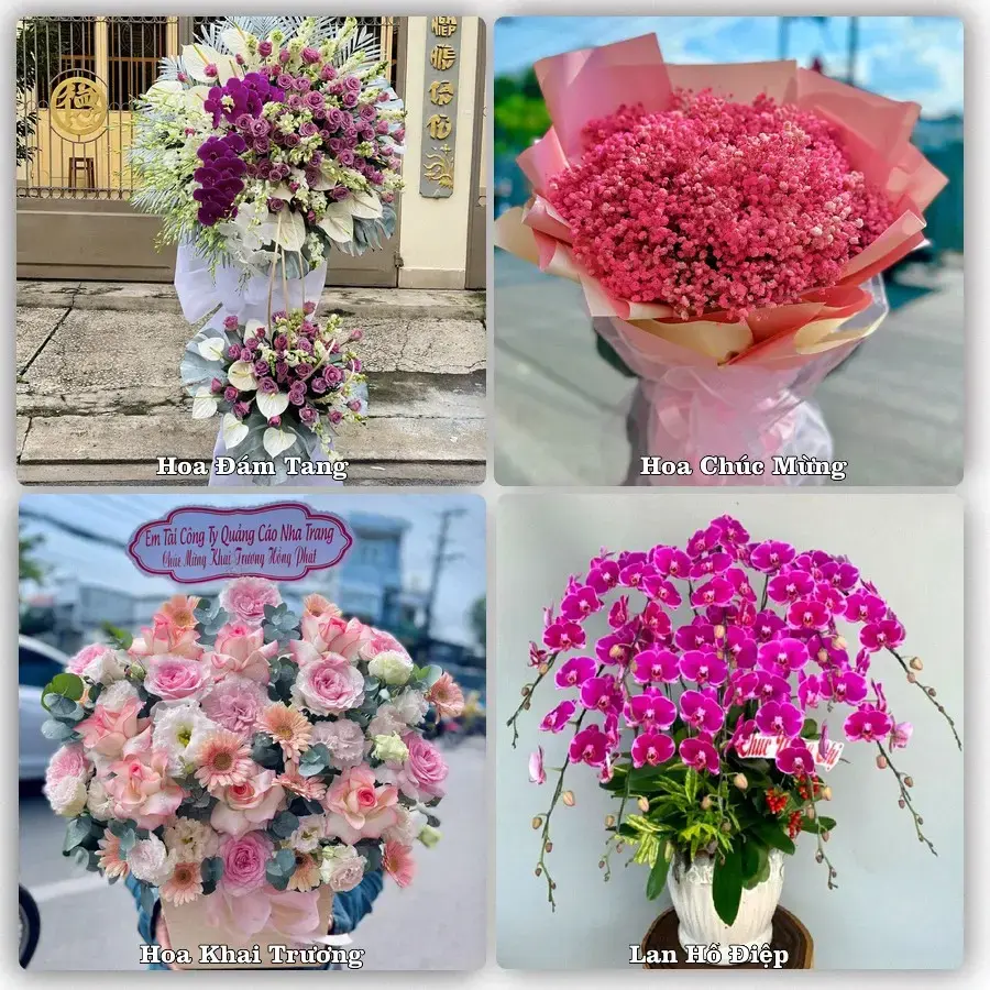 Tư vấn chọn hoa theo người nhận và dịp tặng tại Xã An Phú - Tỉnh An Giang