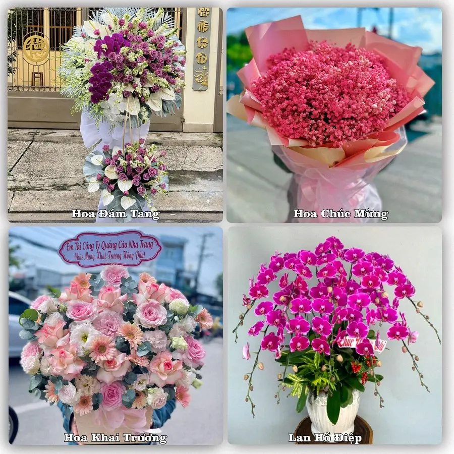 Tư vấn chọn hoa theo người nhận và dịp tặng tại Xã An Phú - Tỉnh An Giang