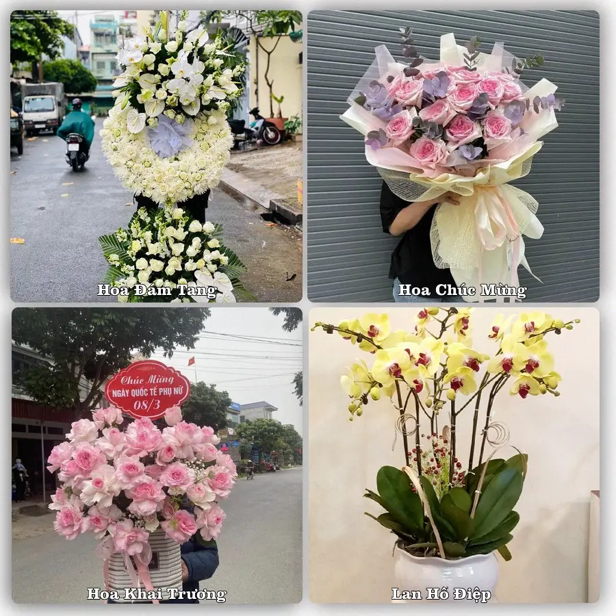 Tư vấn chọn hoa theo người nhận và dịp tặng tại Phường An Thắng - Thành phố Đà Nẵng