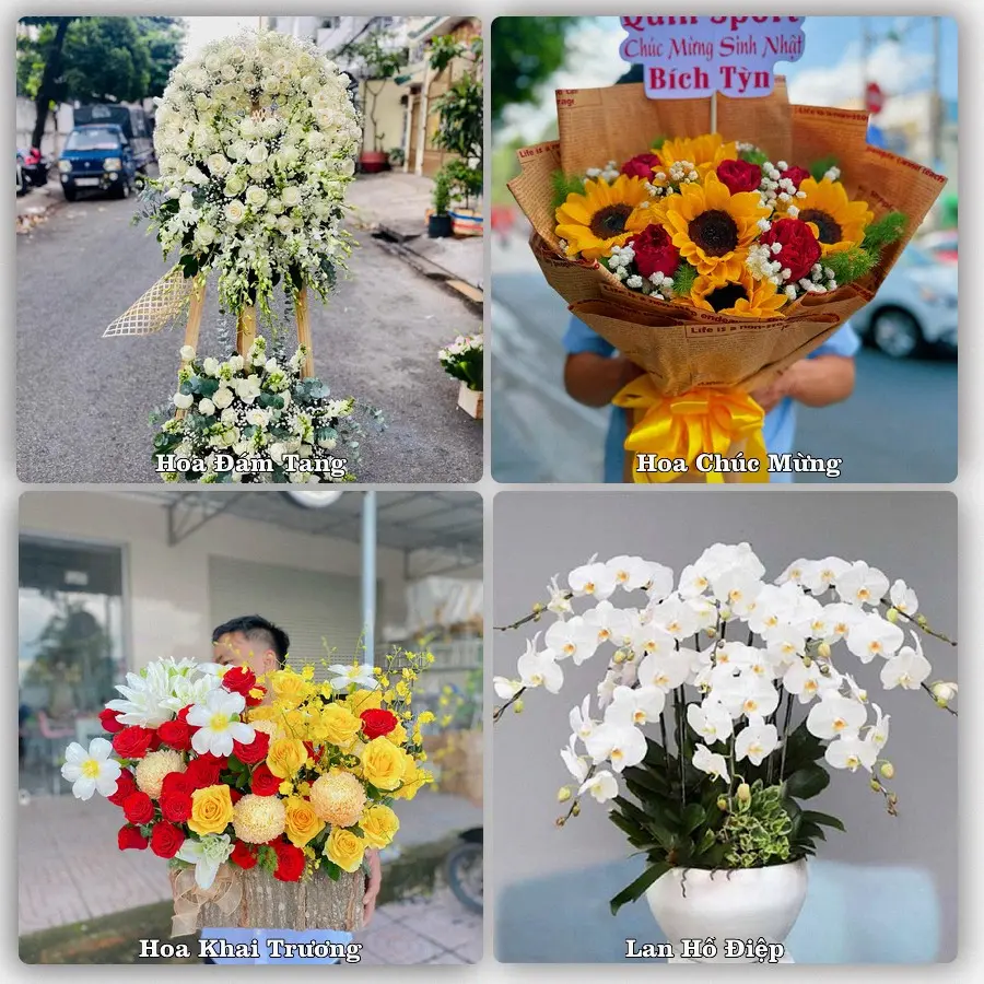 Dịch vụ đặt hoa và giao tận nơi tại Phường Bàn Thạch - Thành phố Đà Nẵng