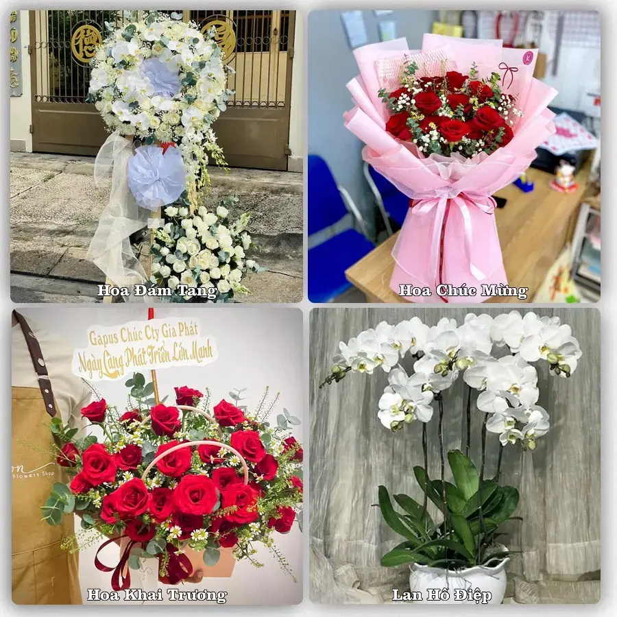 Tiệm hoa tươi Phường Bàn Thạch, Đà Nẵng – hoa sinh nhật và khai trương