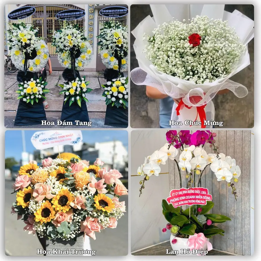 Tư vấn chọn hoa theo người nhận và dịp tặng tại Xã Bình An - Tỉnh An Giang