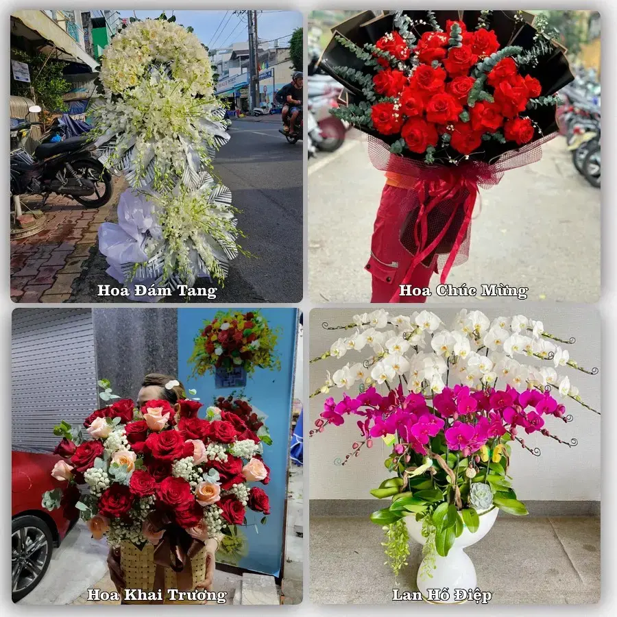 Dịch vụ đặt hoa và giao tận nơi tại Xã Hoằng Hóa - Tỉnh Thanh Hóa