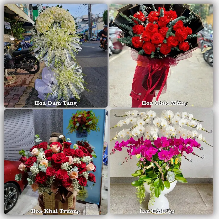 Dịch vụ đặt hoa và giao tận nơi tại Xã Hoằng Hóa - Tỉnh Thanh Hóa
