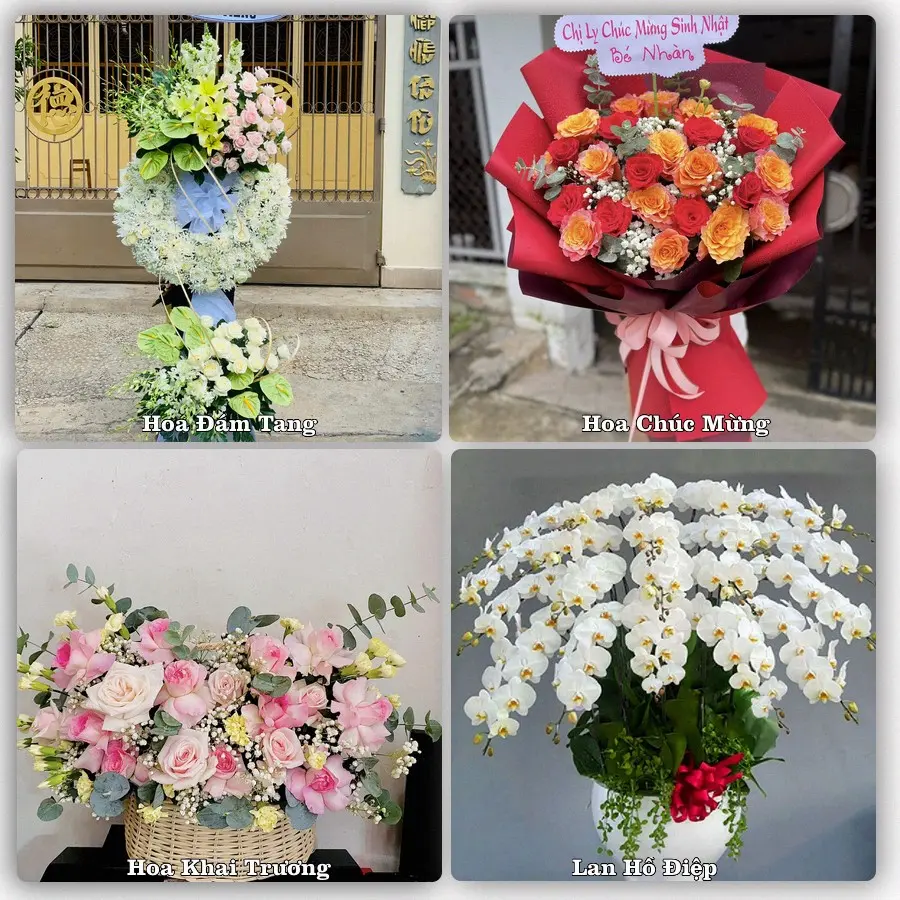 Mẫu hoa phục vụ nhu cầu đặt hoa tại Xã Hoằng Hóa - Tỉnh Thanh Hóa