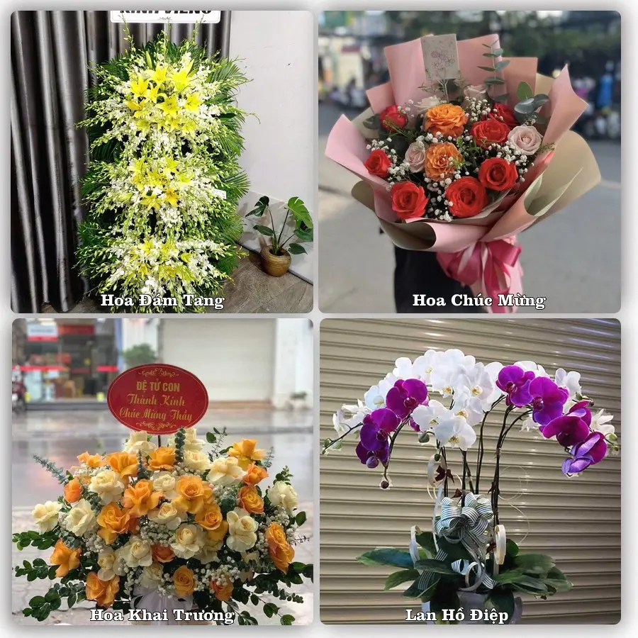 Tư vấn chọn hoa theo người nhận và dịp tặng tại Xã Hoằng Hóa - Tỉnh Thanh Hóa