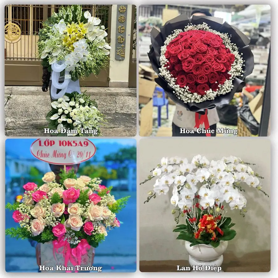 Mẫu hoa phục vụ nhu cầu đặt hoa tại Xã Ngãi Tứ - Tỉnh Vĩnh Long