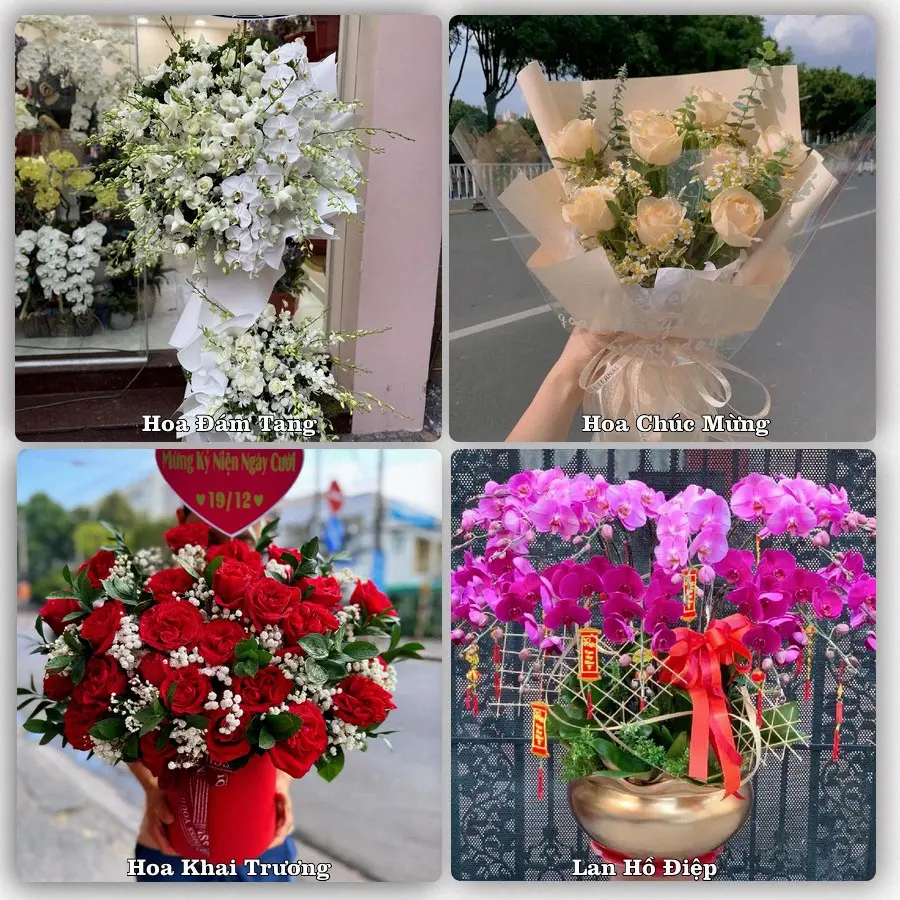 Tư vấn chọn hoa theo người nhận và dịp tặng tại Xã Ngãi Tứ - Tỉnh Vĩnh Long