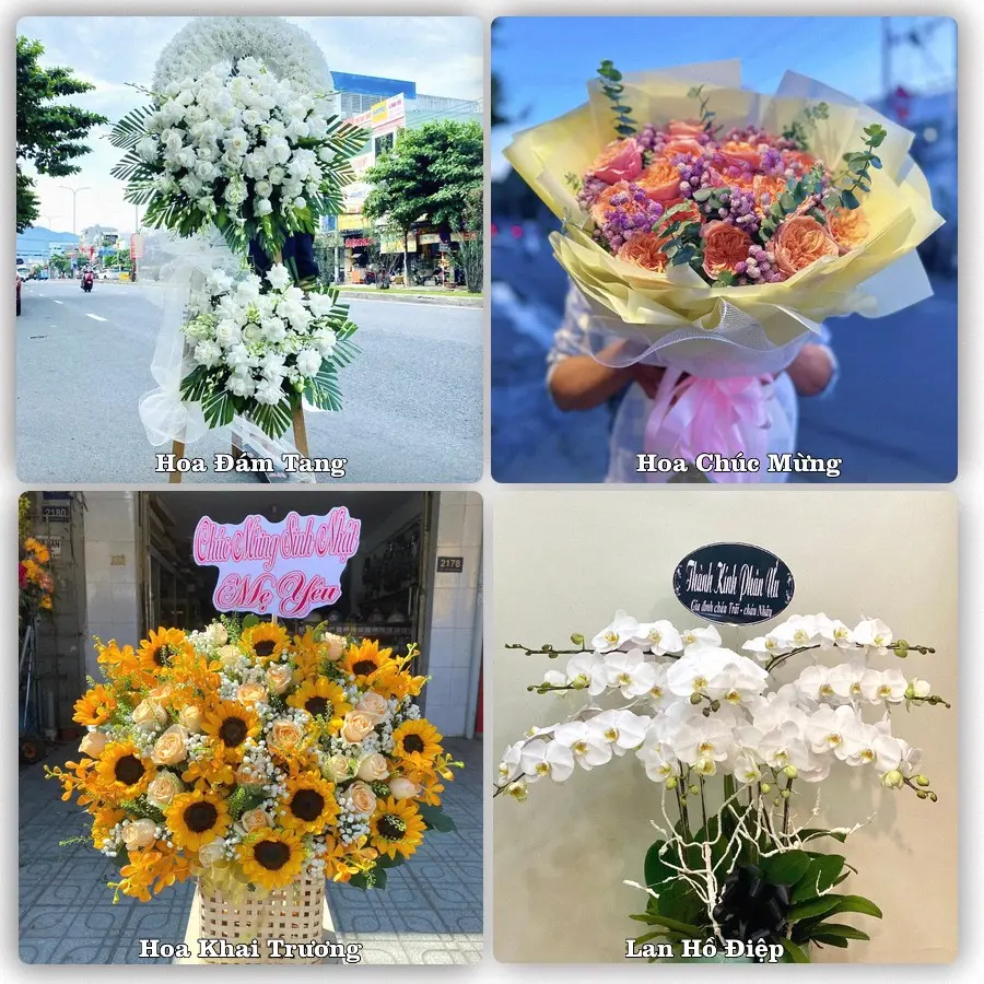 Tư vấn chọn hoa theo người nhận và dịp tặng tại Xã Phạm Ngũ Lão - Tỉnh Hưng Yên