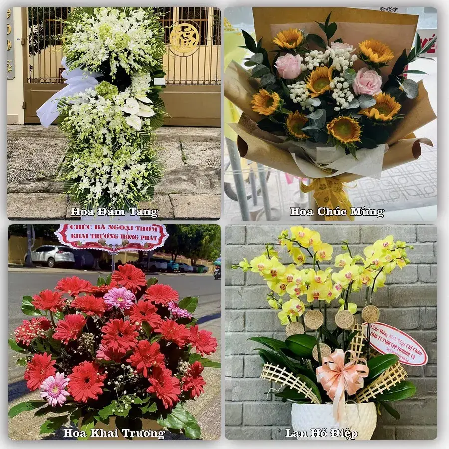 Tiệm hoa tươi Xã Phú Cát, Hà Nội – hoa sinh nhật và khai trương