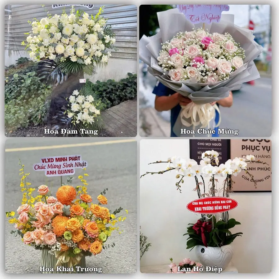 Tư vấn chọn hoa theo người nhận và dịp tặng tại Xã Phú Cát - Thành phố Hà Nội