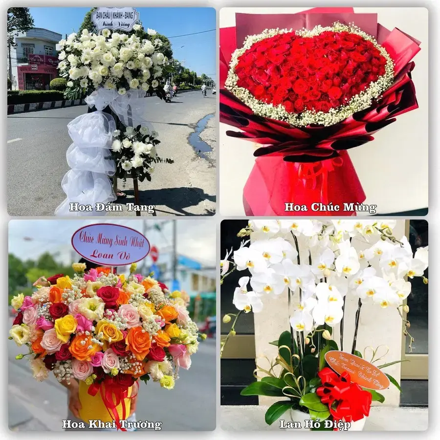 Mẫu hoa phục vụ nhu cầu đặt hoa tại Phường Phú Thọ - Tỉnh Phú Thọ