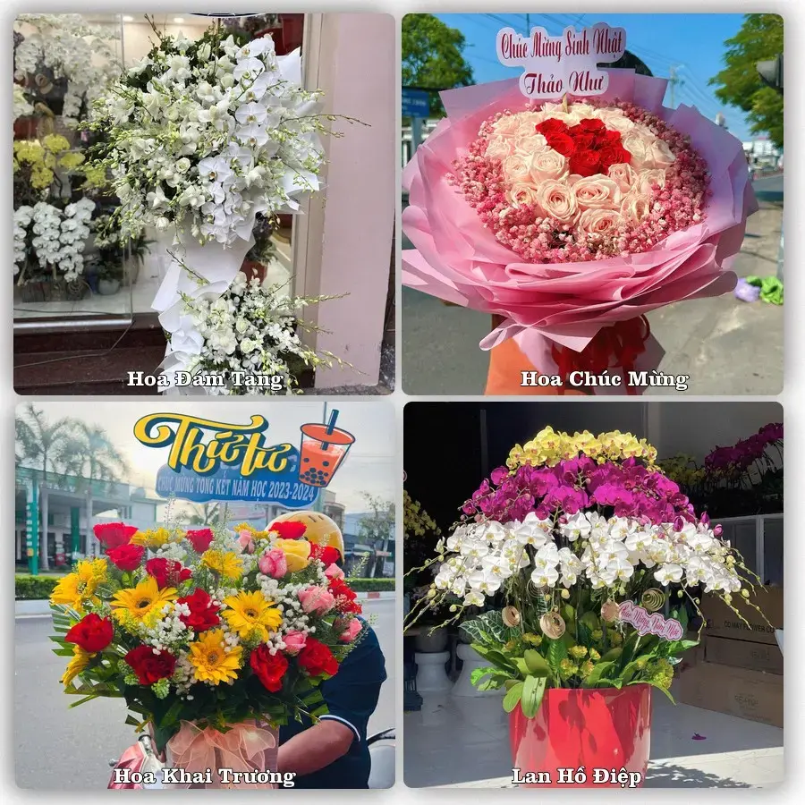 Tiệm hoa tươi Phường Quang Hanh, Quảng Ninh – hoa sinh nhật và khai trương