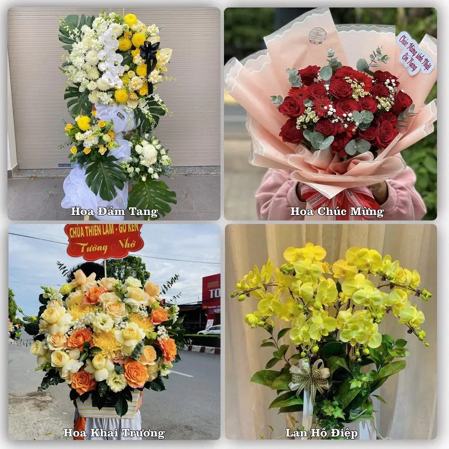Tư vấn chọn hoa theo người nhận và dịp tặng tại Phường Quang Hanh - Tỉnh Quảng Ninh