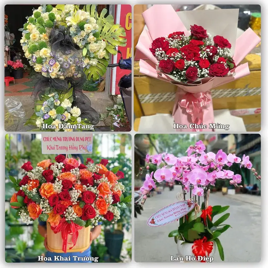 Tiệm hoa tươi Phường Thới Sơn, Đồng Tháp – hoa sinh nhật và khai trương