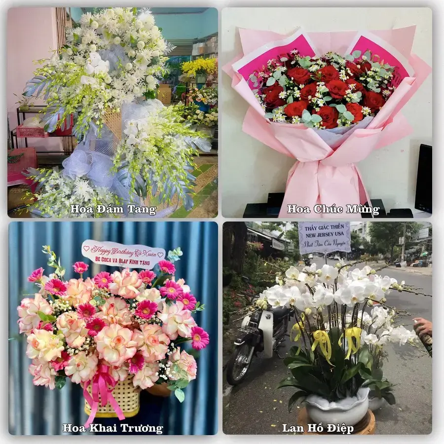 Shop hoa tươi Phường Vinh Lộc, Nghệ An – đặt hoa theo dịp, giao tận nơi
