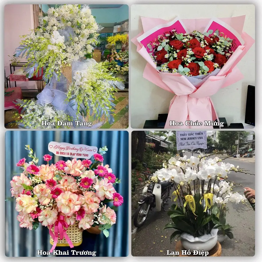 Mẫu hoa phục vụ nhu cầu đặt hoa tại Phường Vinh Lộc - Tỉnh Nghệ An