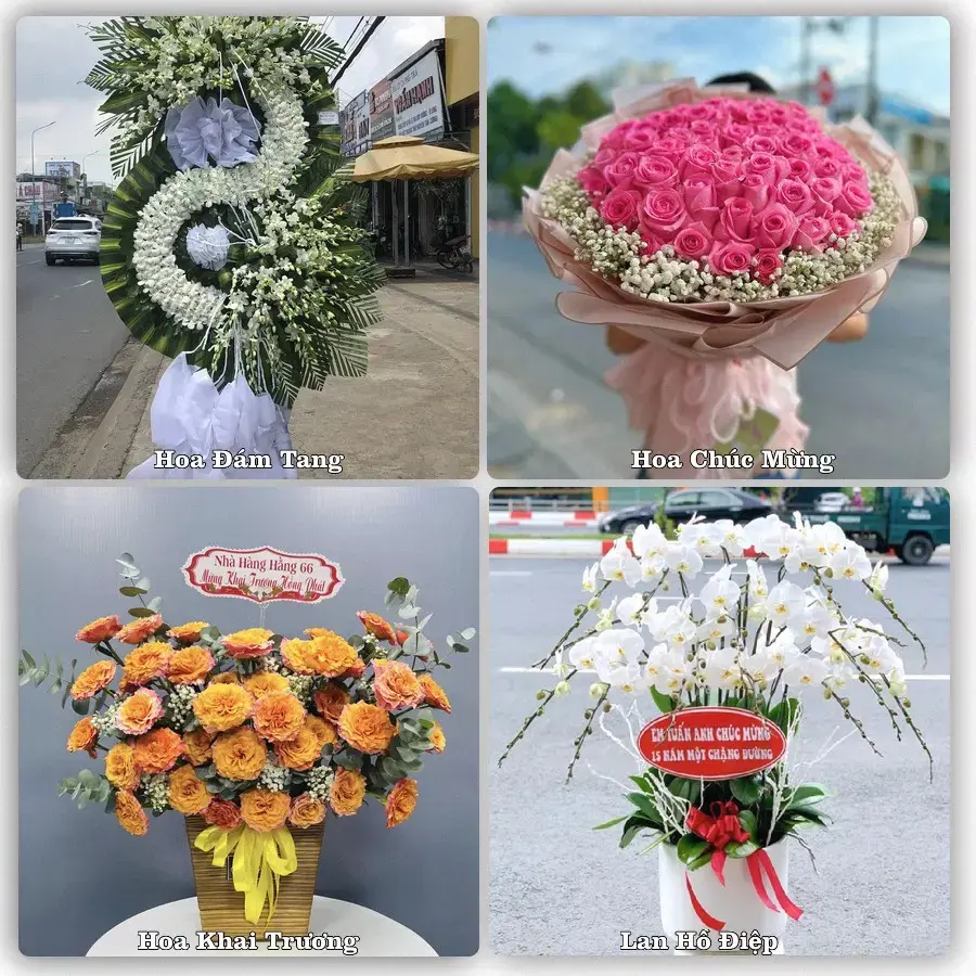 Tư vấn chọn hoa theo người nhận và dịp tặng tại Phường Vinh Lộc - Tỉnh Nghệ An
