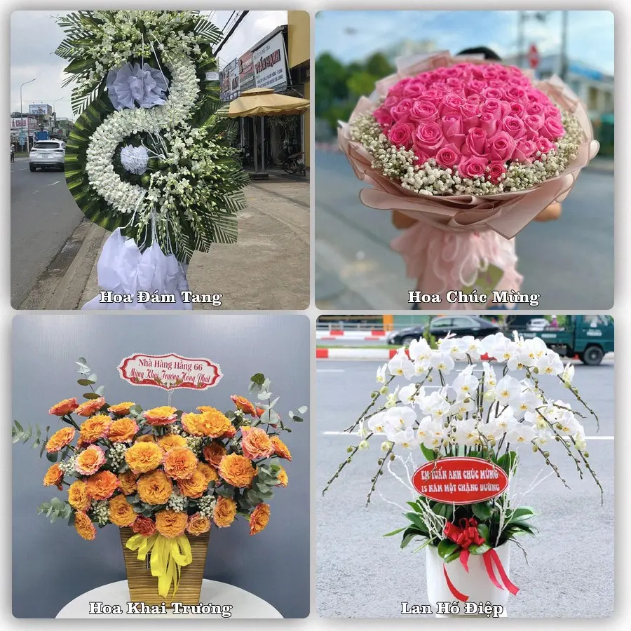 Tư vấn chọn hoa theo người nhận và dịp tặng tại Phường Vinh Lộc - Tỉnh Nghệ An