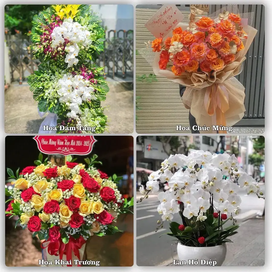 Shop hoa Phường An Nhơn Bắc, Gia Lai – tư vấn mẫu, giao tận nơi