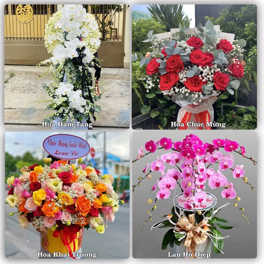 Tư vấn chọn hoa theo người nhận và dịp tặng tại Phường An Nhơn Bắc - Tỉnh Gia Lai