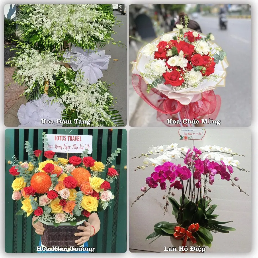 Tư vấn chọn hoa theo người nhận và dịp tặng tại Xã Bình An - Tỉnh Ninh Bình