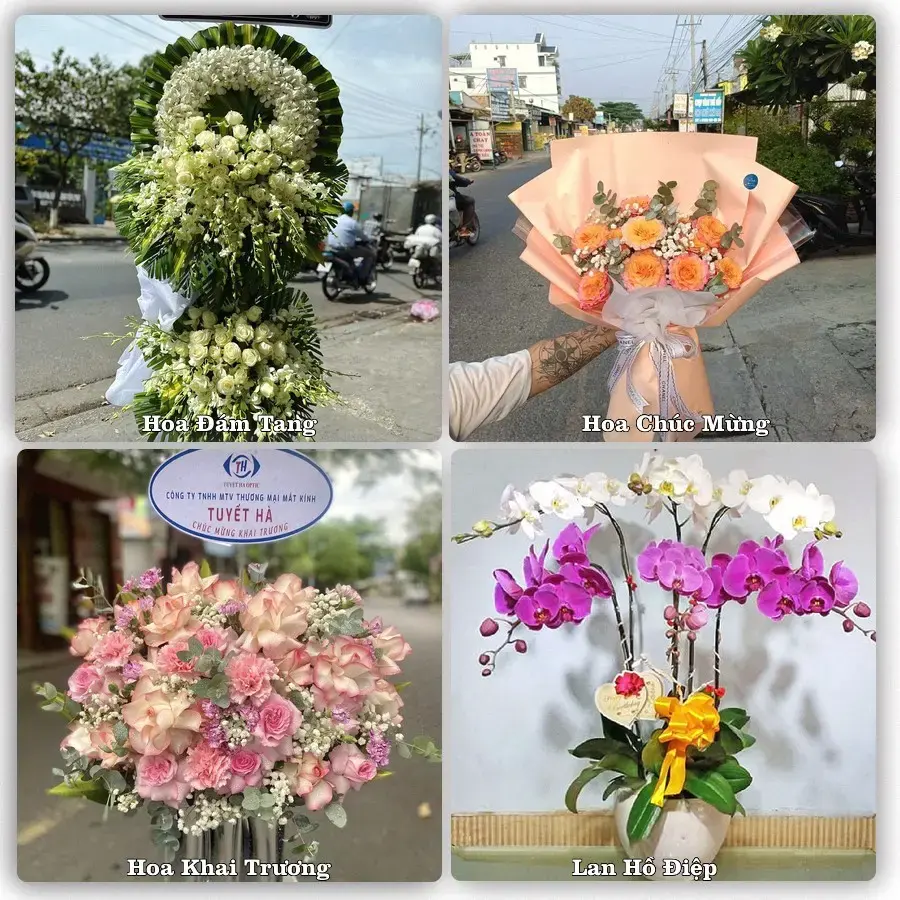 Tư vấn chọn hoa theo người nhận và dịp tặng tại Xã Hưng Đạo - Thành phố Hà Nội