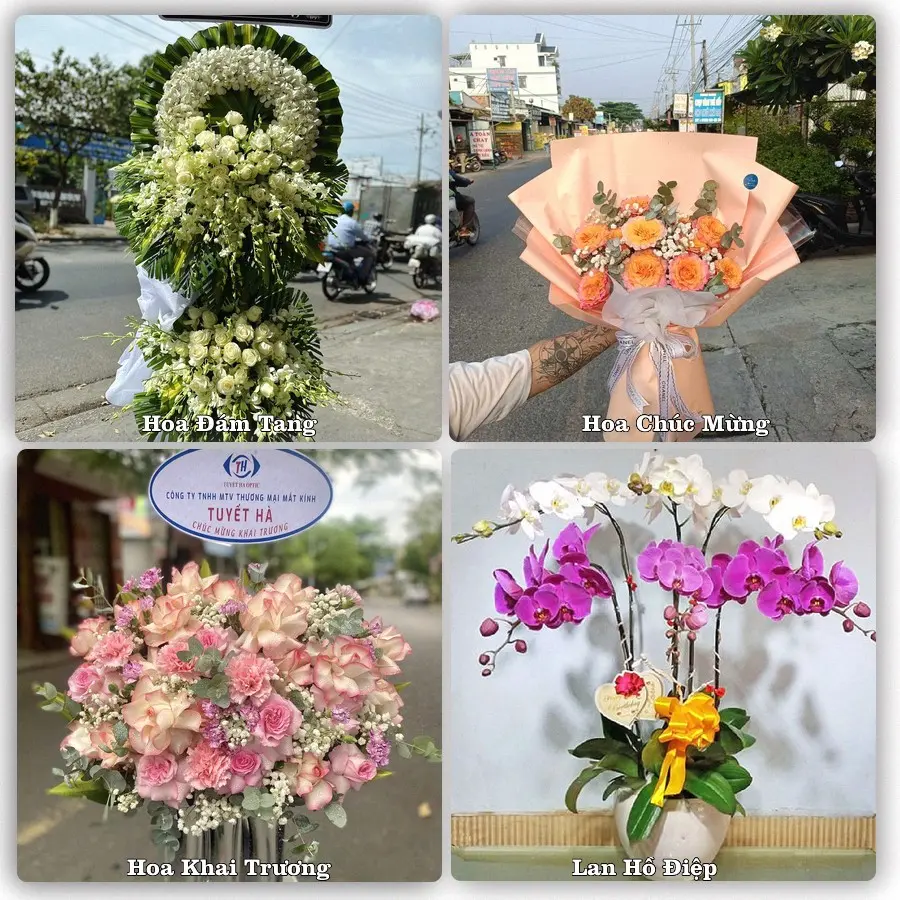 Tư vấn chọn hoa theo người nhận và dịp tặng tại Xã Hưng Đạo - Thành phố Hà Nội