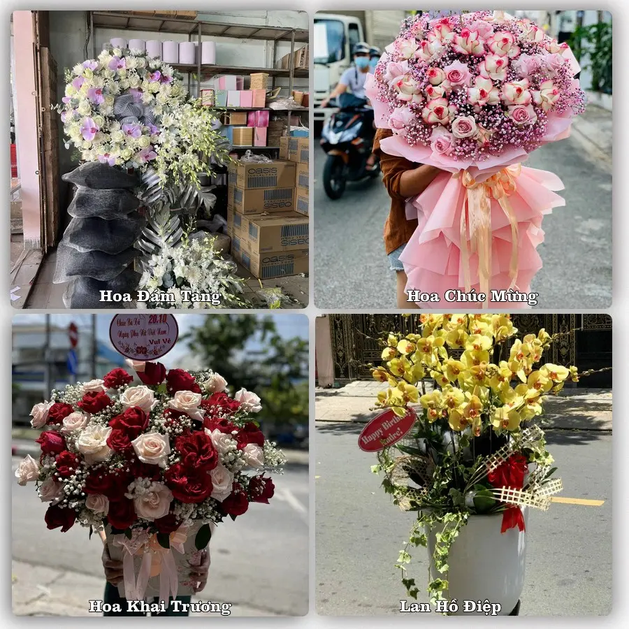 Tư vấn chọn hoa theo người nhận và dịp tặng tại Xã Lưu Vệ - Tỉnh Thanh Hóa