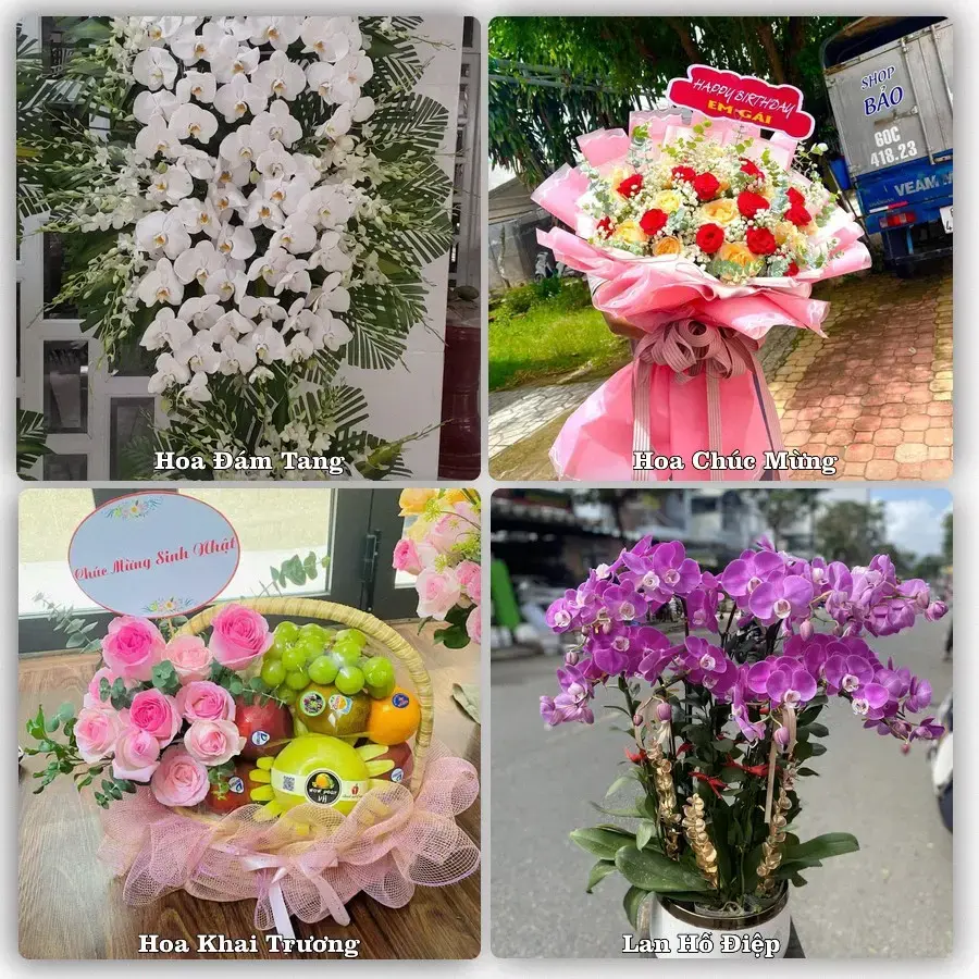 Mẫu hoa phục vụ nhu cầu đặt hoa tại Xã Nga Sơn - Tỉnh Thanh Hóa