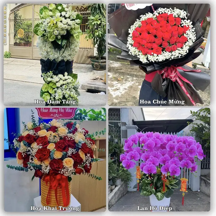 Tư vấn chọn hoa theo người nhận và dịp tặng tại Xã Nga Sơn - Tỉnh Thanh Hóa