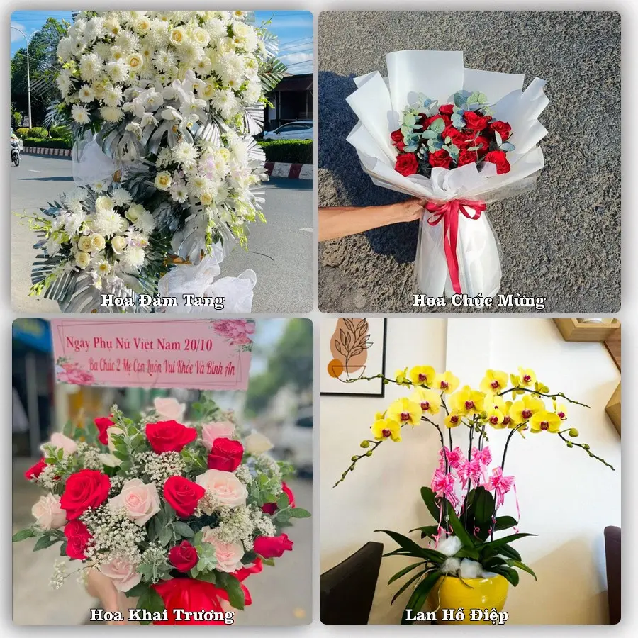 Mẫu hoa phục vụ nhu cầu đặt hoa tại Xã Phú Vinh - Thành phố Huế