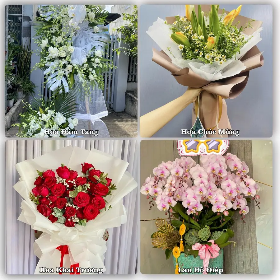 Tư vấn chọn hoa theo người nhận và dịp tặng tại Xã Phú Vinh - Thành phố Huế