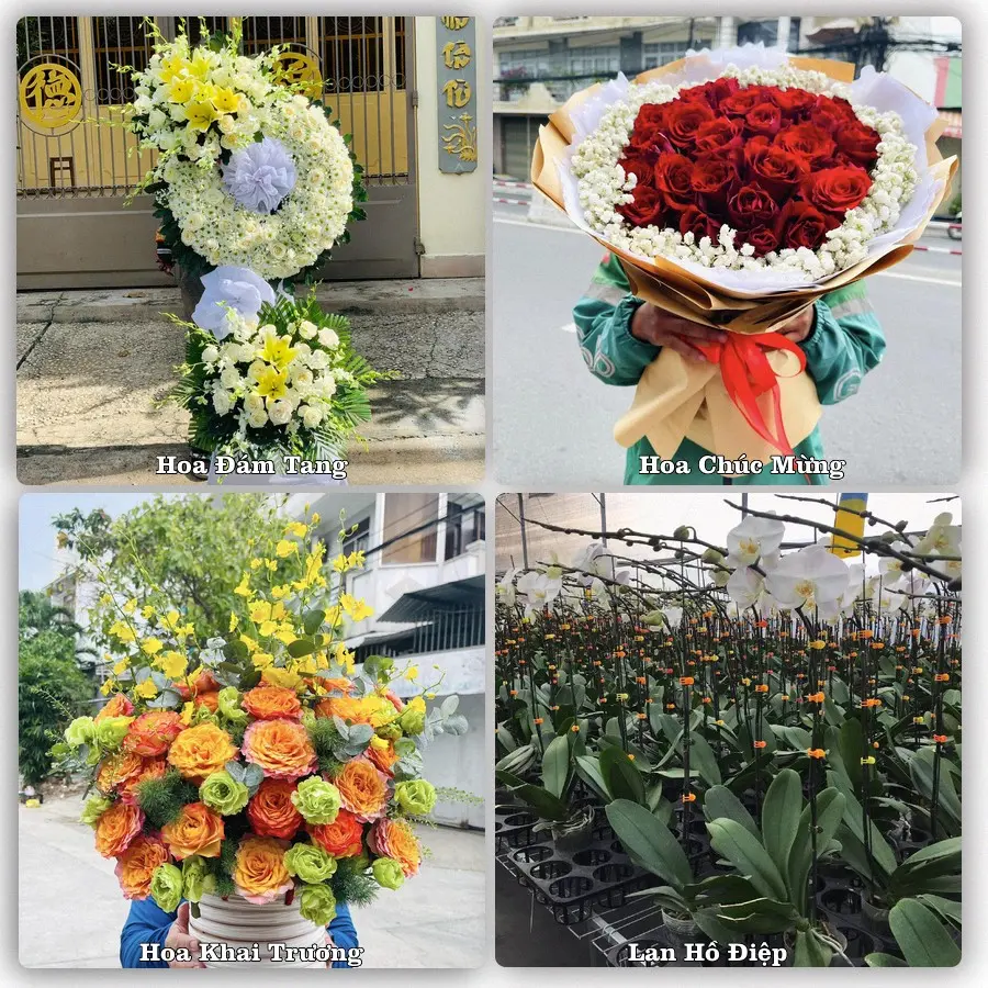 Mẫu hoa phục vụ nhu cầu đặt hoa tại Xã Tiền Hải - Tỉnh Hưng Yên