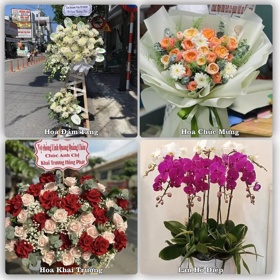 Tư vấn chọn hoa theo người nhận và dịp tặng tại Xã Tiền Hải - Tỉnh Hưng Yên