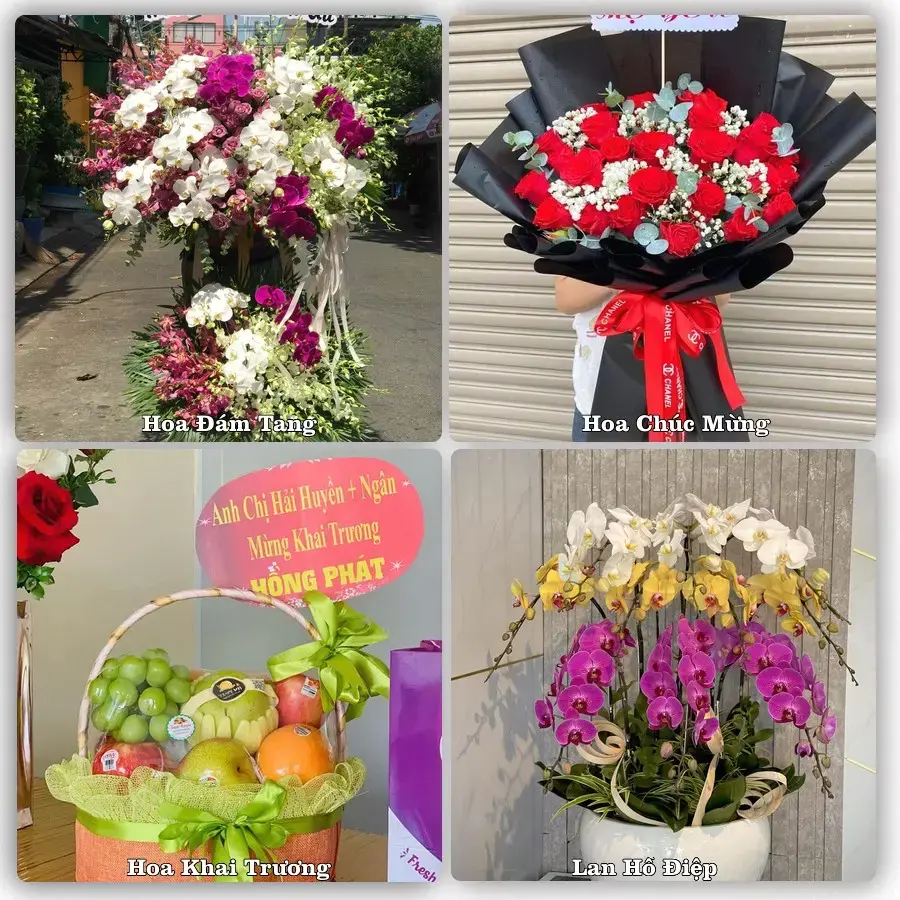 Mẫu hoa phục vụ nhu cầu đặt hoa tại Xã Trà Ôn - Tỉnh Vĩnh Long