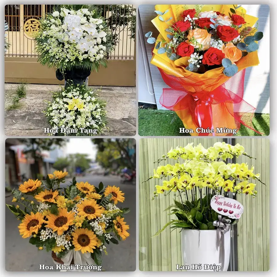 Tư vấn chọn hoa theo người nhận và dịp tặng tại Xã Trà Ôn - Tỉnh Vĩnh Long