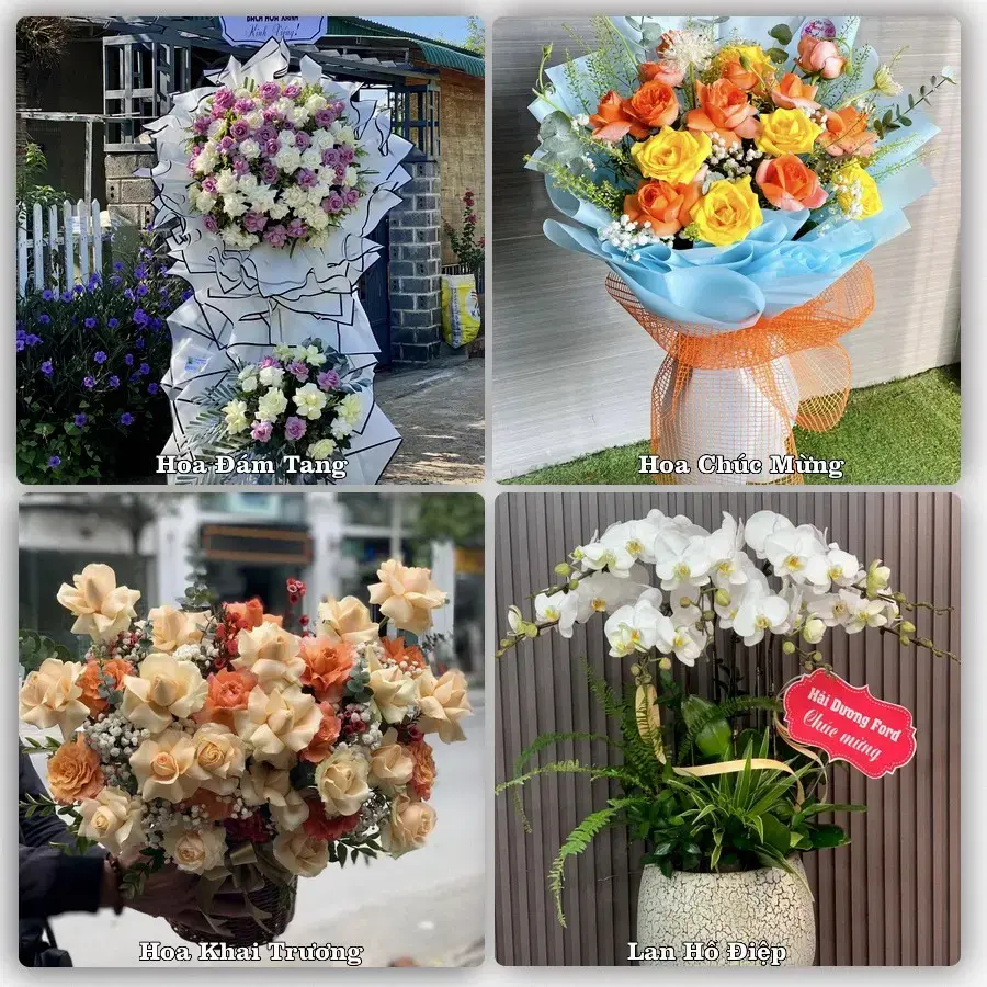 Shop hoa Phường Tùng Thiện, Hà Nội – tư vấn mẫu, giao tận nơi
