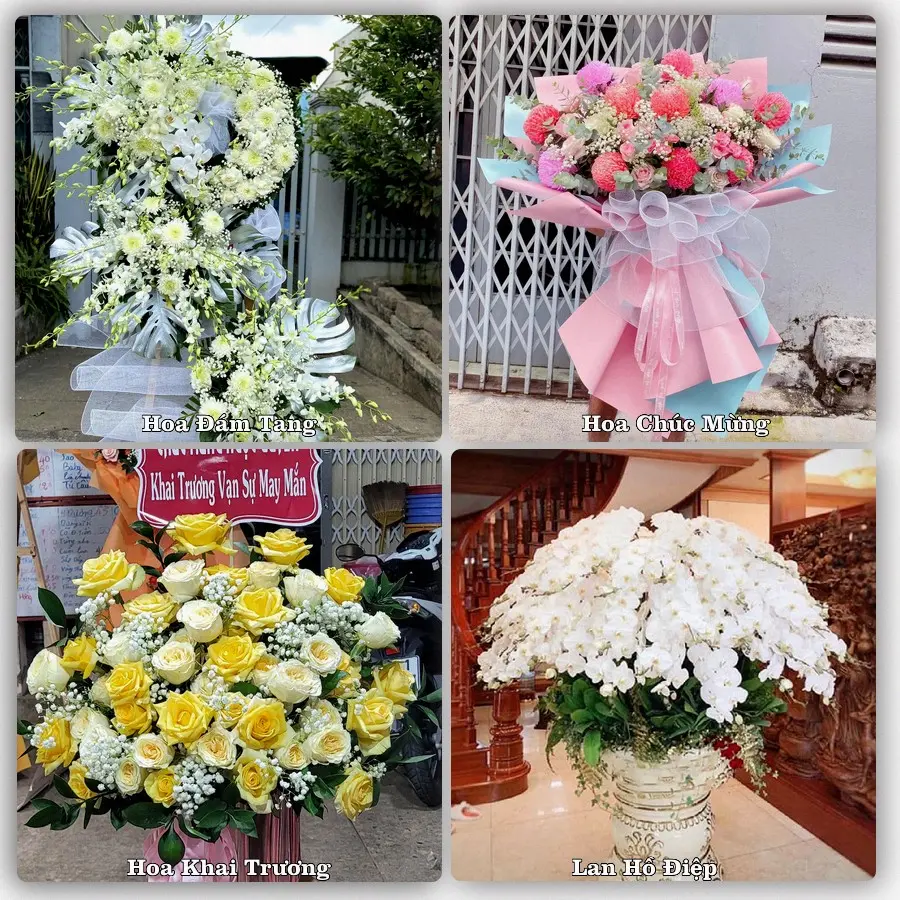 Tư vấn chọn hoa theo người nhận và dịp tặng tại Phường Tùng Thiện - Thành phố Hà Nội