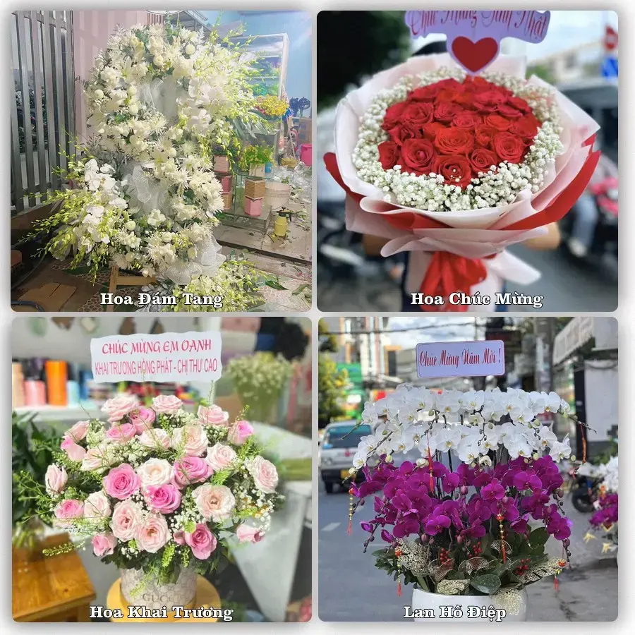 Shop hoa Xã Vĩnh Xương, An Giang – tư vấn mẫu, giao tận nơi