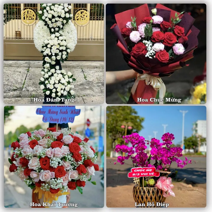 Tư vấn chọn hoa theo người nhận và dịp tặng tại Xã Vĩnh Xương - Tỉnh An Giang